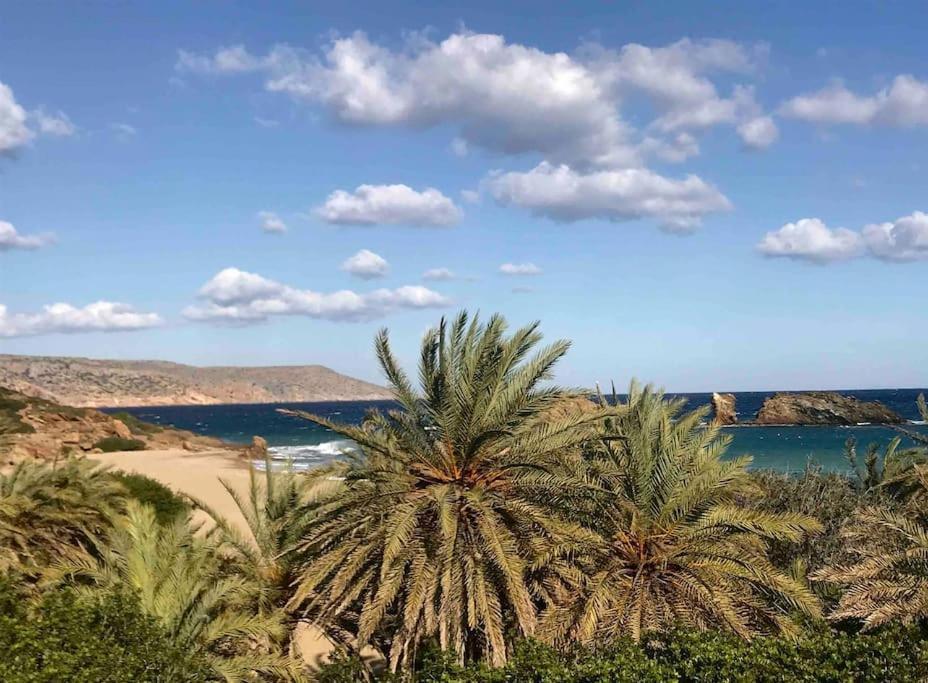 פלקסטרון Kalithea Studio 1 מראה חיצוני תמונה